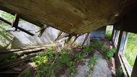 7/6/2016 - IMG_4852.jpg