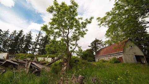 7/6/2016 - IMG_4850.jpg