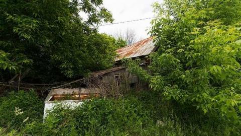 8/6/2016 - IMG_5378.jpg