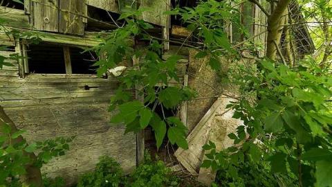 8/6/2016 - IMG_5376.jpg