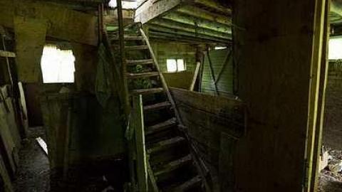 8/6/2016 - IMG_5372.jpg