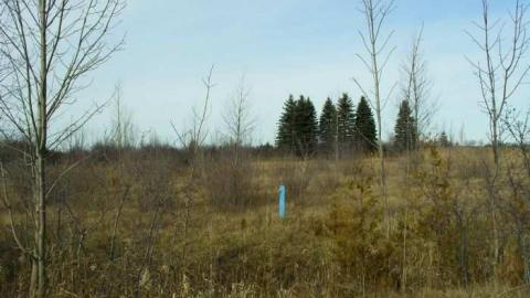 Old slaughter houses - Bresleau-Ghost-Roads2.jpg