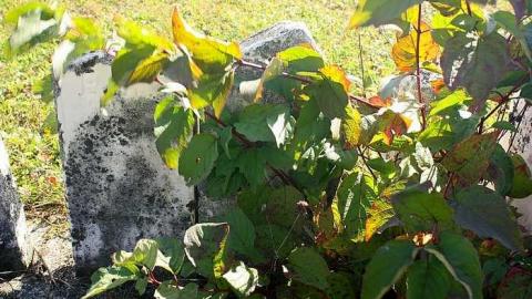 Oct 2015 - Raymond-Cemetery5.jpg