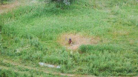 Outside the Jail - Burwash-Correctional-Prison694.jpeg