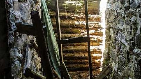 Photo from July 2016