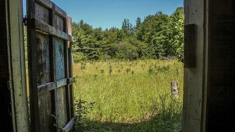 July 2016 - c-BRACEBRIDGEHOUSE_2016-2.jpg