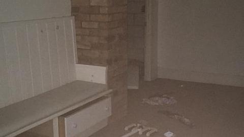 G. Munshaw 2016 - iiimage.jpeg