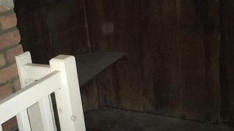 G. Munshaw 2016 - psimage.jpeg