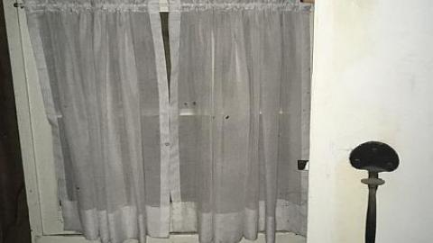 Photo from G. Munshaw 2016