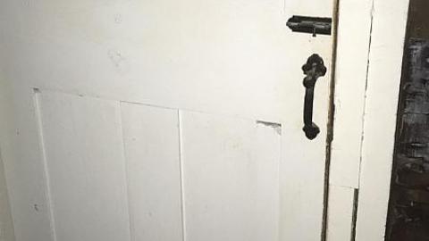 G. Munshaw 2016 - eqimage.jpeg