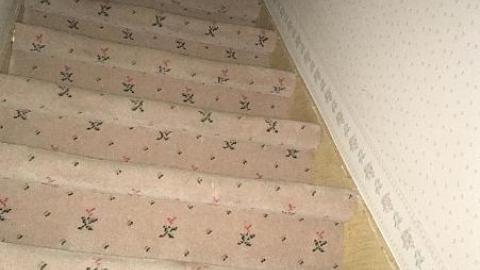 G. Munshaw 2016 - hyimage.jpeg