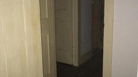 G. Munshaw 2016 - owimage.jpeg