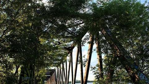 Sunset Visit - Prince-of-Wales-Bridge36.jpg