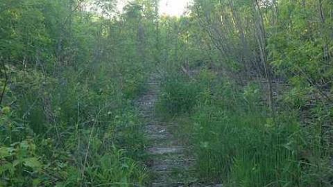 HoneyDale Mall - Honeydale-Mall27.jpg