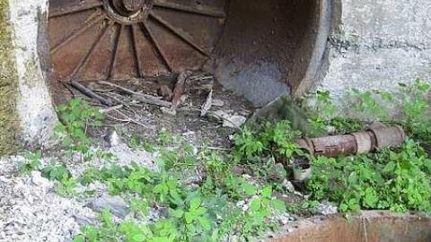 July 2016 - The-Haven-vertical-reality48.jpg