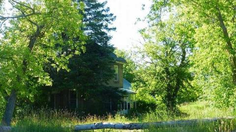 Stone's Throw - P1060845.jpg