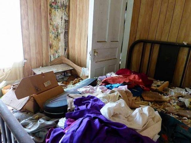 The Green House photo 5