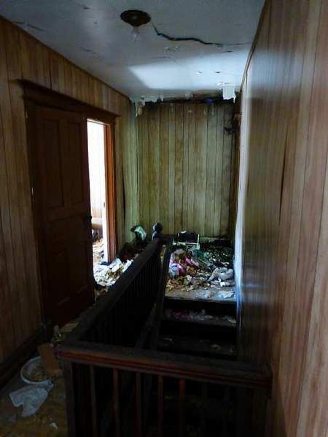 The Green House photo 4