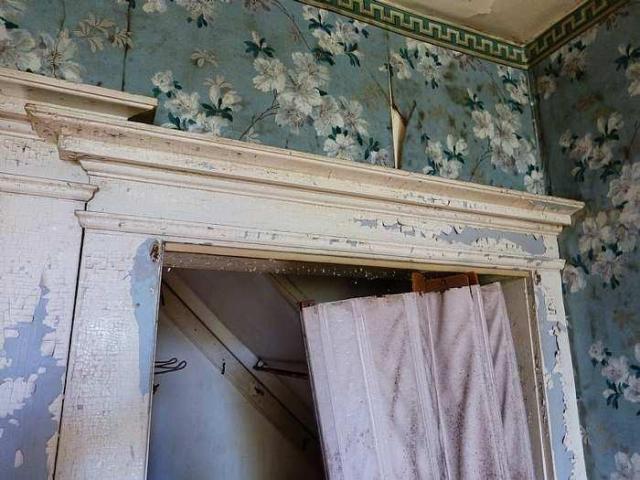 The Green House photo 4