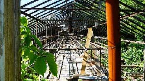 Stone's Throw - P1060838.jpg