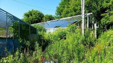 Stone's Throw - P1060840.jpg