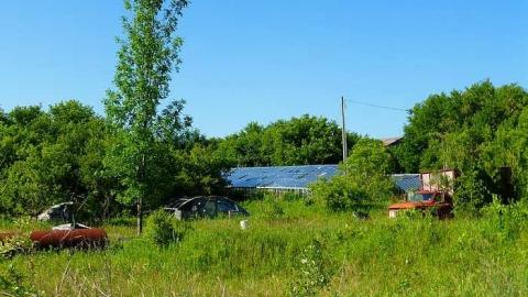 Stone's Throw - P1060844.jpg