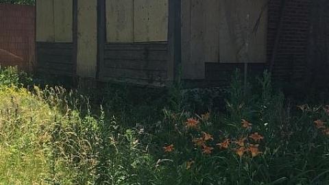 Still Standing - image.jpeg