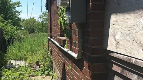 Still Standing - ijimage.jpeg