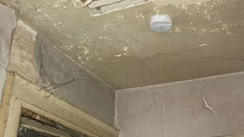 Still Standing - phimage.jpeg