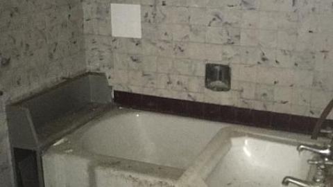 Still Standing - bkimage.jpeg