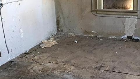 Still Standing - rhimage.jpeg