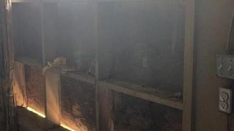 Still Standing - eximage.jpeg