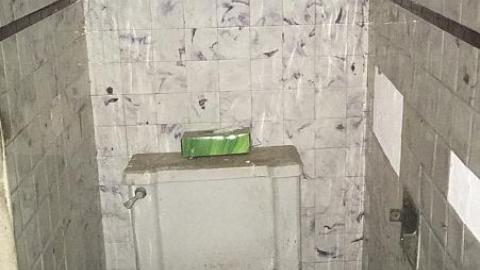 Still Standing - qmimage.jpeg