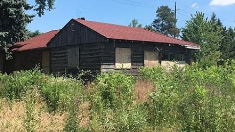 Still Standing - shimage.jpeg