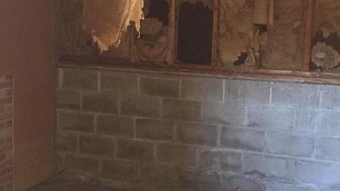 Still Standing - wcimage.jpeg