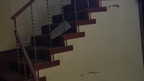 Photo from Still Standing