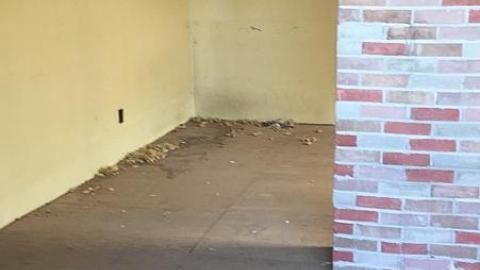 Still Standing - viimage.jpeg