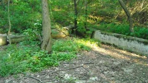 The Other Side photo 4