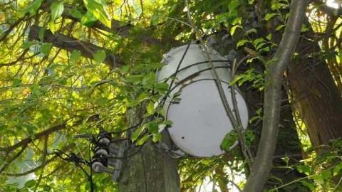 The other side - The-Other-Side45.jpg