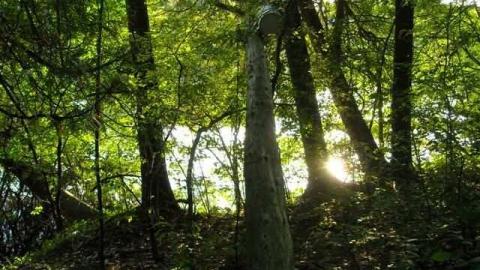 The Other Side - Richmond Hill, Ontario