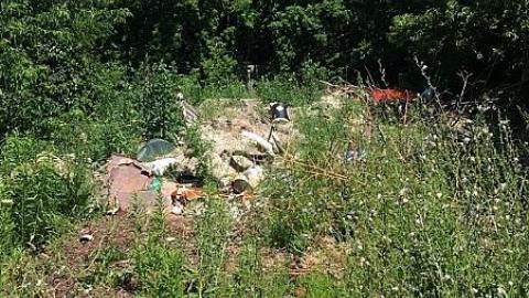 Plugging My Nose - bbimage.jpeg