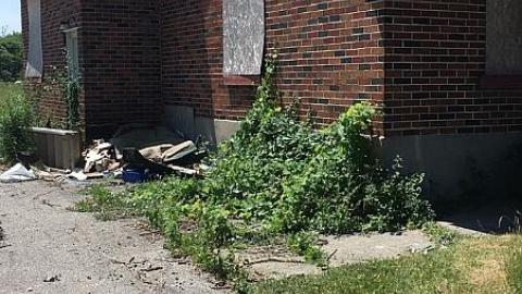 Blistered Wallpaper - image.jpeg