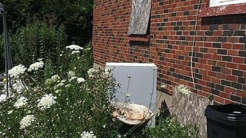 Blistered Wallpaper - poimage.jpeg