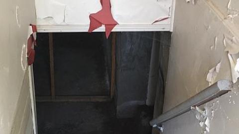 Blistered Wallpaper - daimage.jpeg