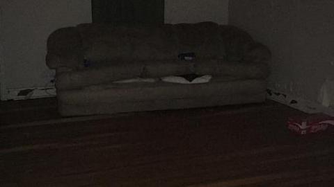 Blistered Wallpaper - ldimage.jpeg