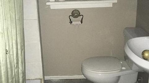 Blistered Wallpaper - iximage.jpeg