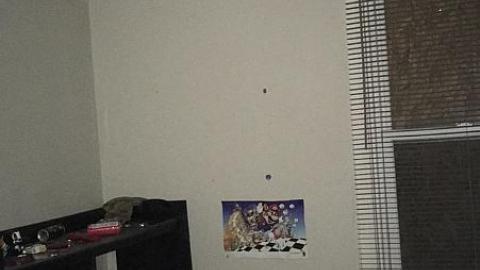 Blistered Wallpaper - ngimage.jpeg