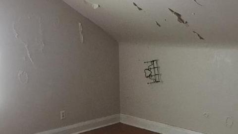 Blistered Wallpaper - qcimage.jpeg