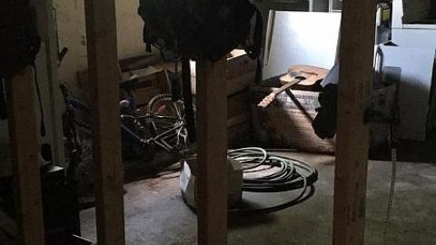 Blistered Wallpaper - usimage.jpeg