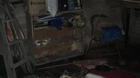 Blistered Wallpaper - ifimage.jpeg